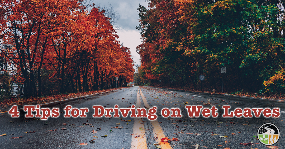 Road with wet leaves